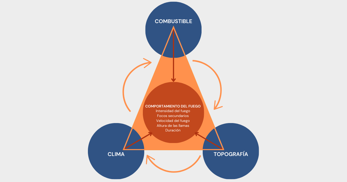 Comportamiento del fuego