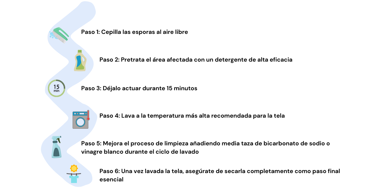 Pasos para eliminar el moho de las telas