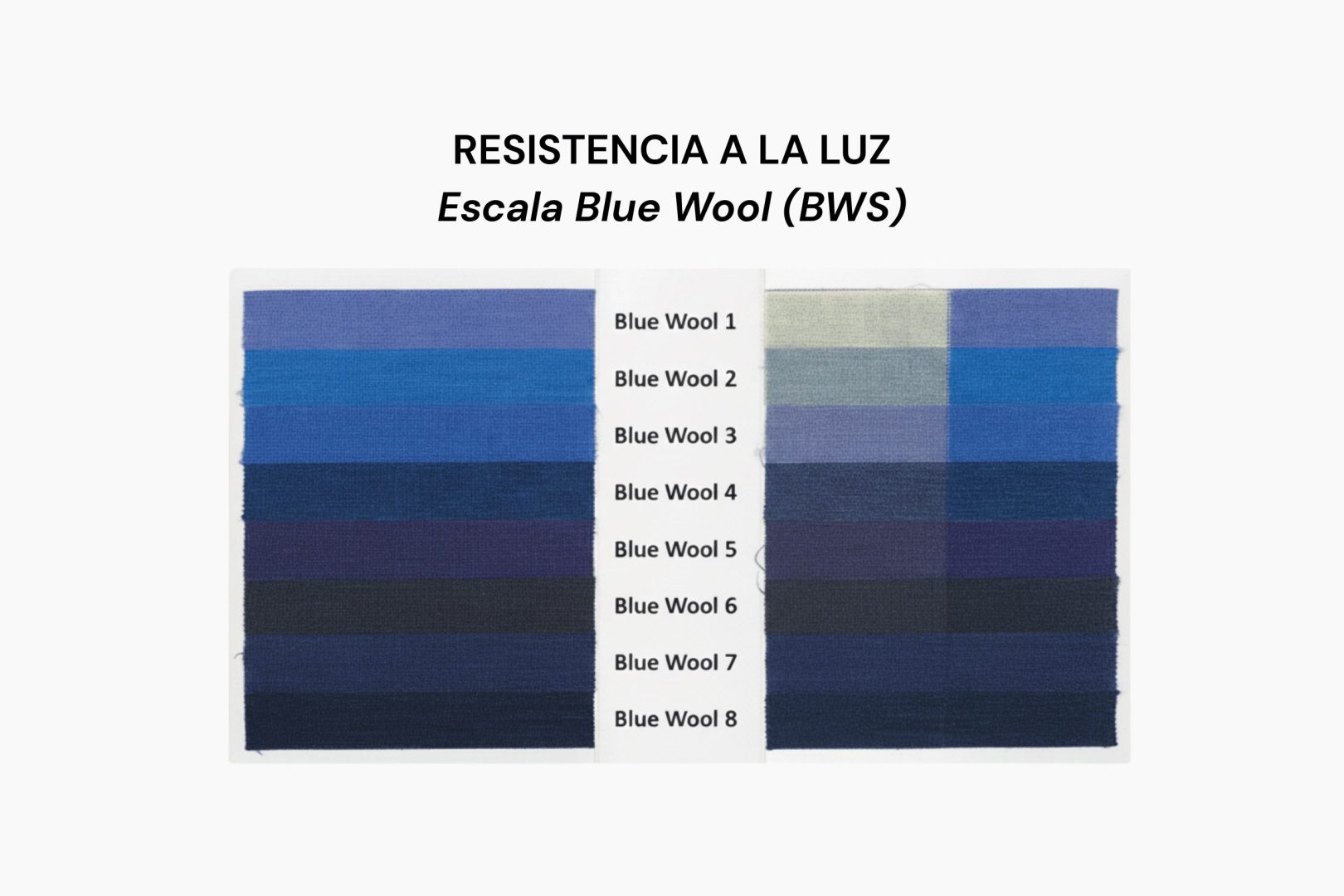 Resistencia a la luz — Escala Blue Wool (BWS)